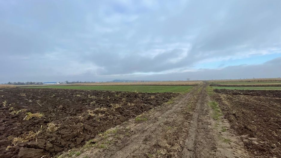 TEREN EXTRAVILAN 13 ARI | FRONT STRADAL 13 M | MARGINEA - Poză 11