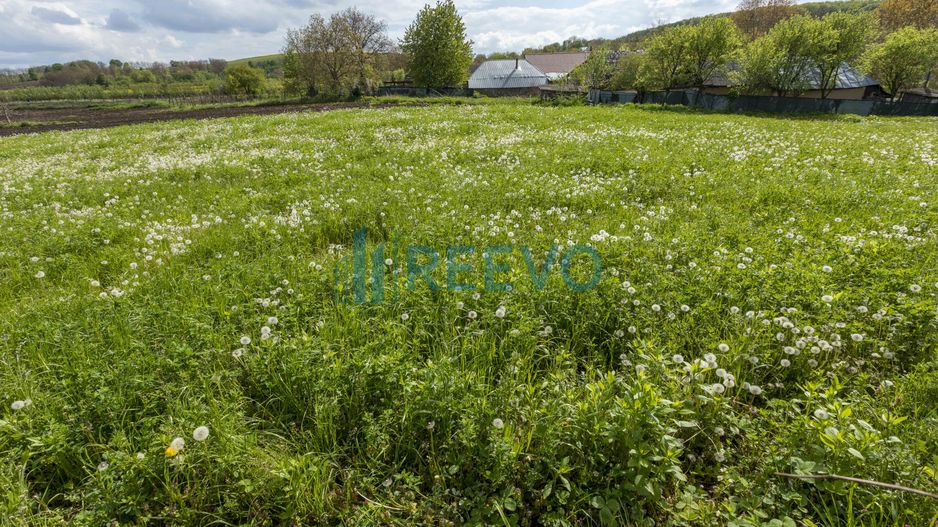 Teren intravilan Blăgești, Bacău - Poză 8