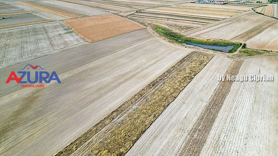 Teren agricol, 5HA, comasat, drum acces, Cateasca - Poză 6