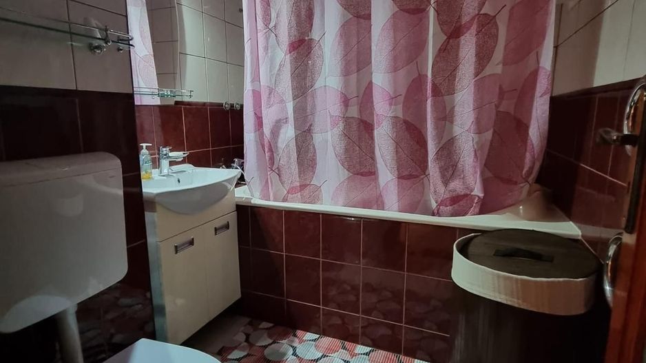 Apartament cu 2 camere, mobilat si utilat - Tiglina 2, parter langa IPJ - Poză 5