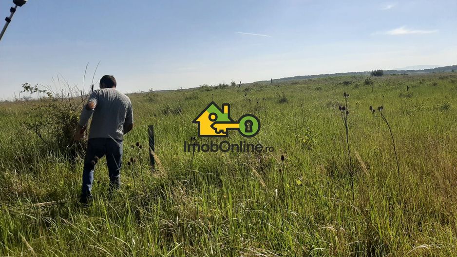 Teren de vânzare în Lugoj, judet Timis - Poză 8