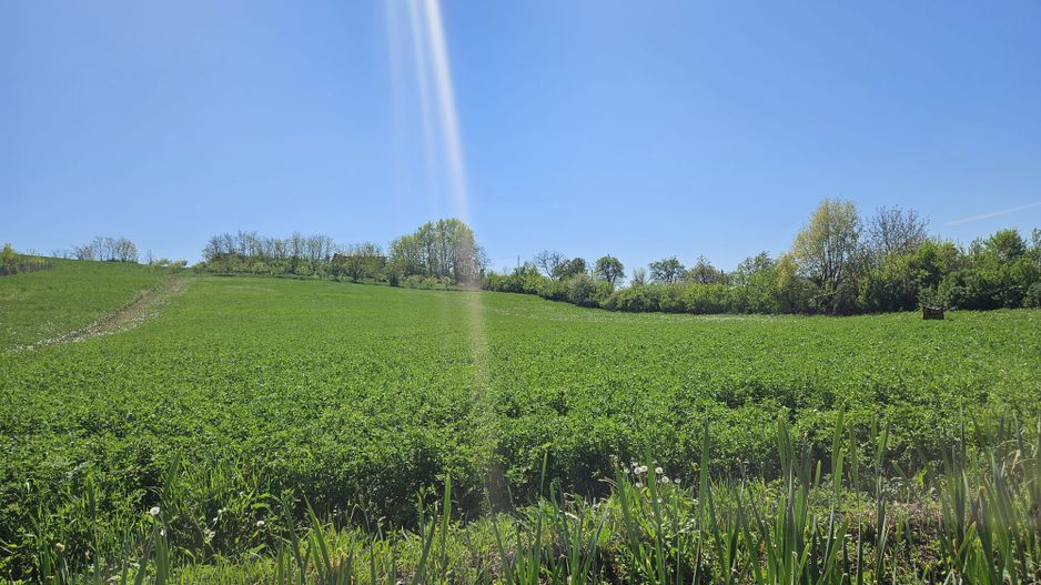 Vanzare teren intravilan, Calinesti, toate utilitatile - Poză 4