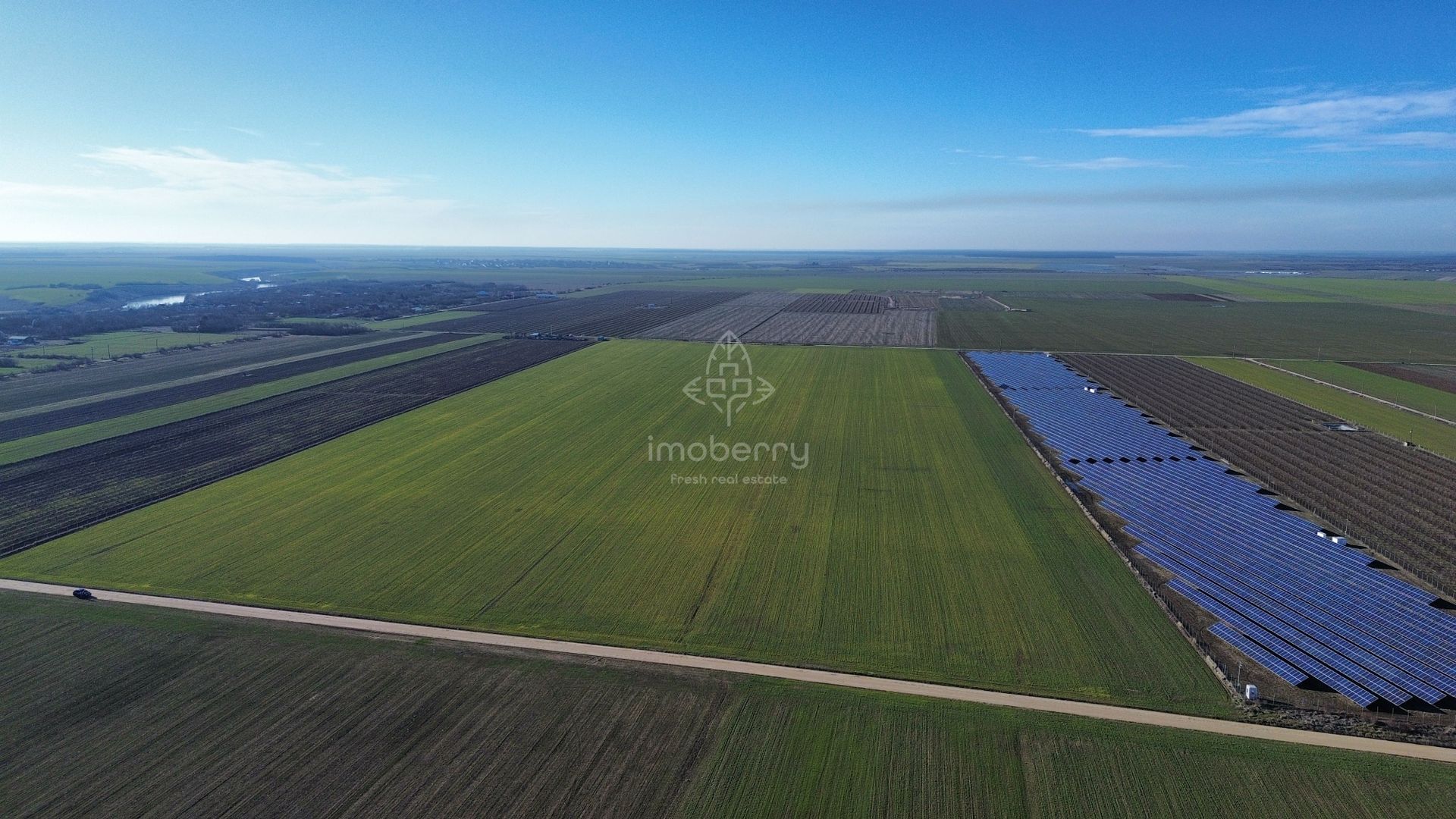 Vând teren extravilan – 11 ha, sat Valter Mărăcineanu, jud Giurgiu - Poză 3