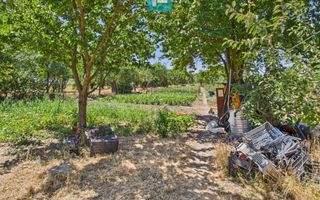 Casă cu 4 camere și teren de 1450 mp în Aradul Nou - Poză 3