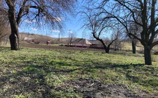 Teren Intravilan 3200 mp de vânzare - Poză 15
