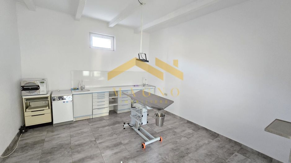 Casa de inchiriat in Vladimirescu (pretabil pentru Birou,Cabinet etc.) - Poză 19