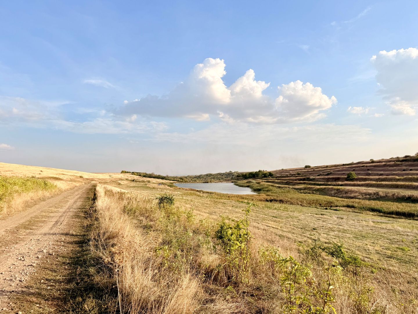 Teren Daia 75000 mp cu balta 30000 mp izvoare - Poză 24