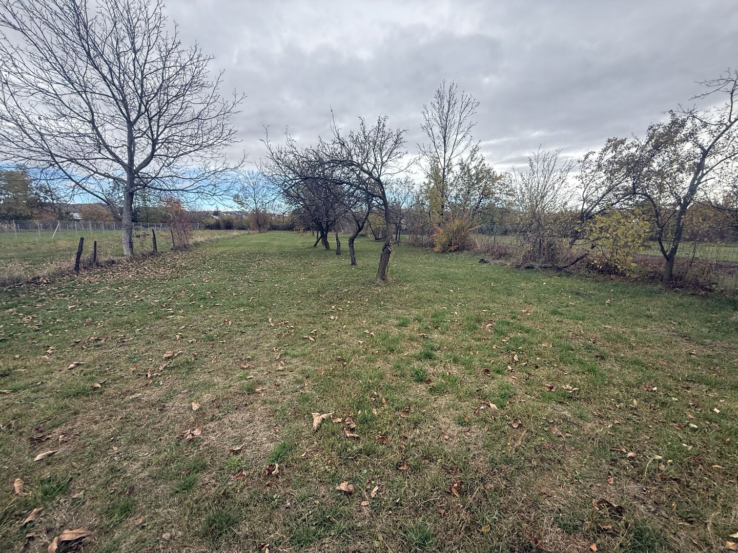 Teren intravilan împrejmuit 2331 mp la strada, toate utilitățile! - Poză 9