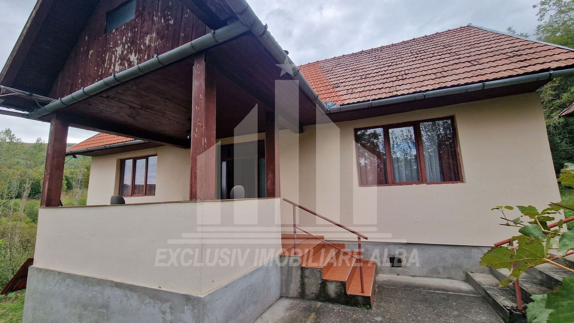 Casa cu livada in Cetea - Poză 13