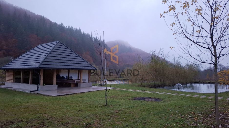 Proprietate cu potențial turistic în zona montană a Țării Lăpușului - Poză 3