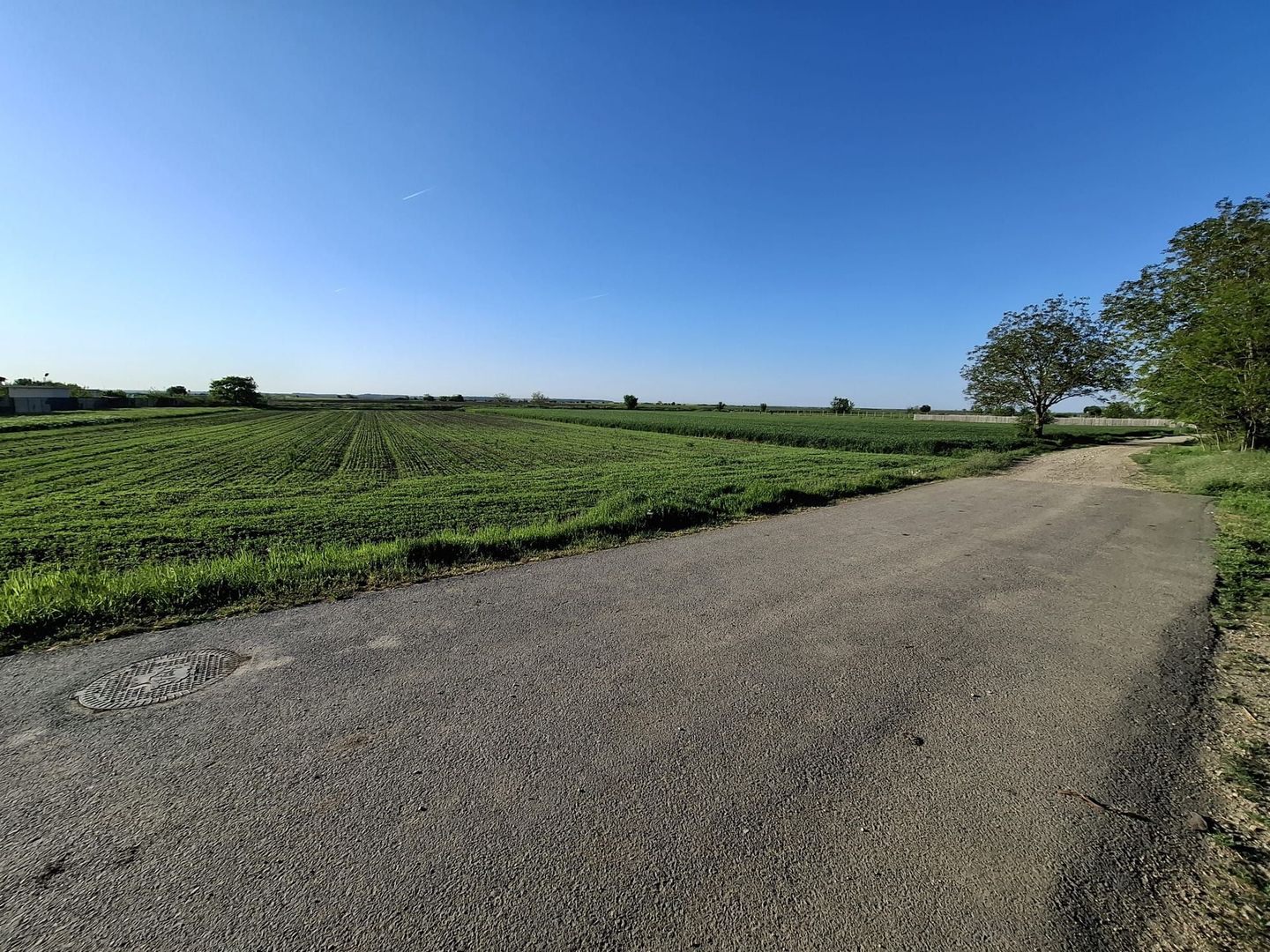 DÂRZA - TEREN INTRAVILAN - Poză 4