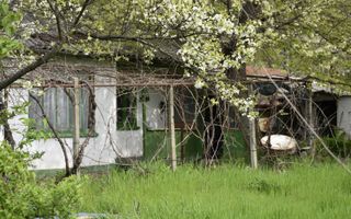 CASĂ TRADIȚIONALĂ CU GRĂDINĂ GENEROASĂ ȘI VIE – ISACCEA, JUD. TULCEA - Poză 1