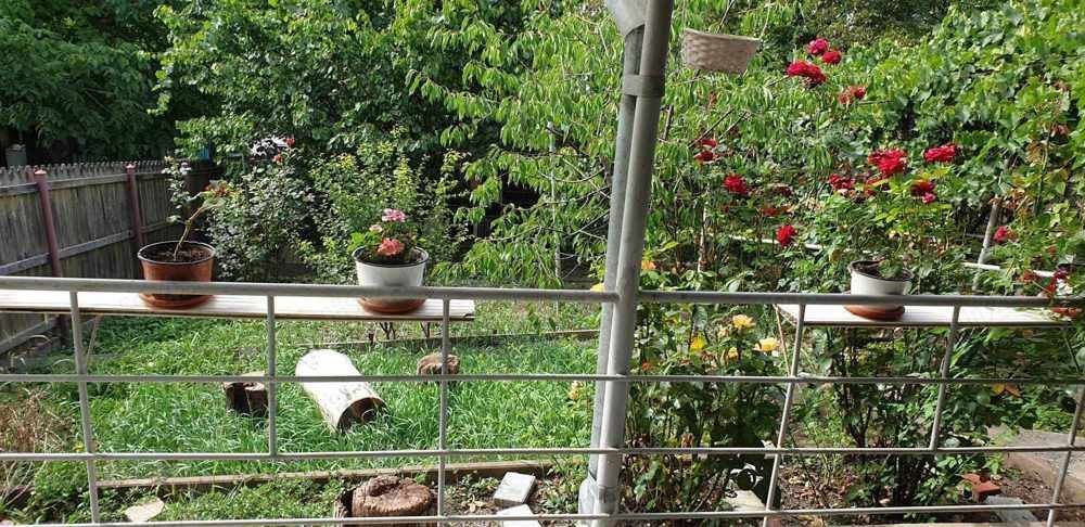 teren de vanzare 807 mp - Poză 7