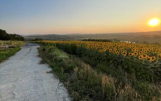 Teren intravilan ,Barnova ,Iași, 834 mp, priveliste panoramica deosebita,langa padure! - Poză 6