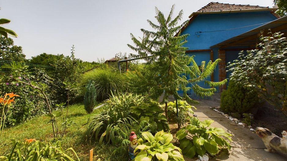 Casă cu 3 camere în Periam Port județ Timiș - Poză 19