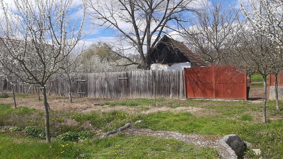 Casă cu teren generos la Bodo - Poză 2