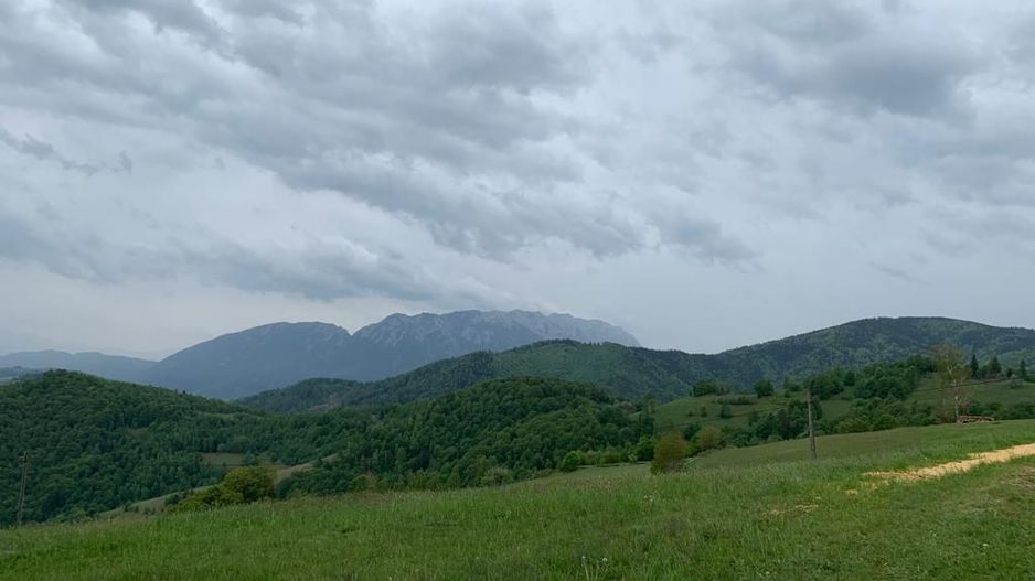 Teren extravilan 2ha, priveliste panoramica spre munti /Poiana Marului - Poză 3