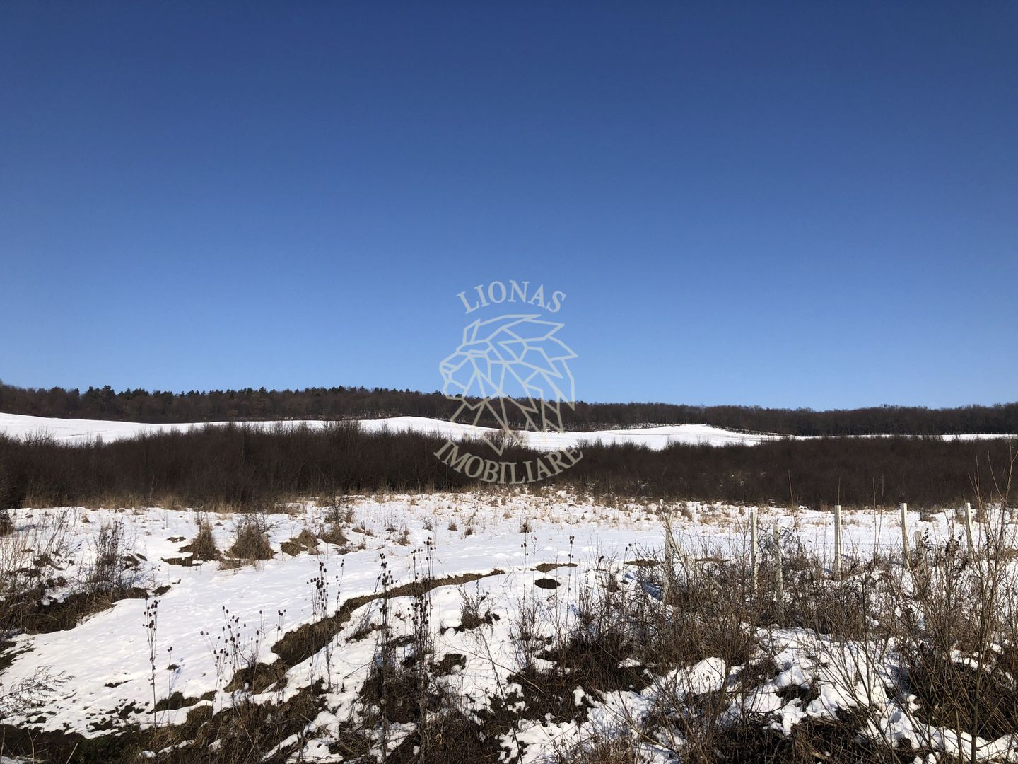 Teren 10000 si o parcela de 50 ari-oportunitate investitie-Jelna - Poză 2