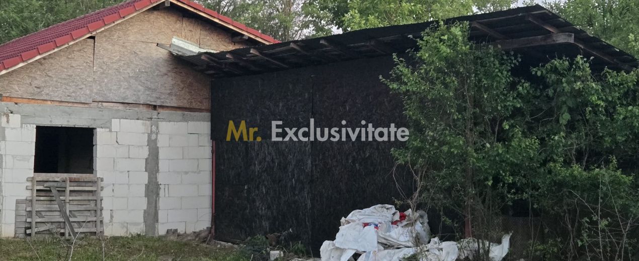 Casă cu 7.769 mp teren și pădure | Budieni | 53.000€ - Poză 7