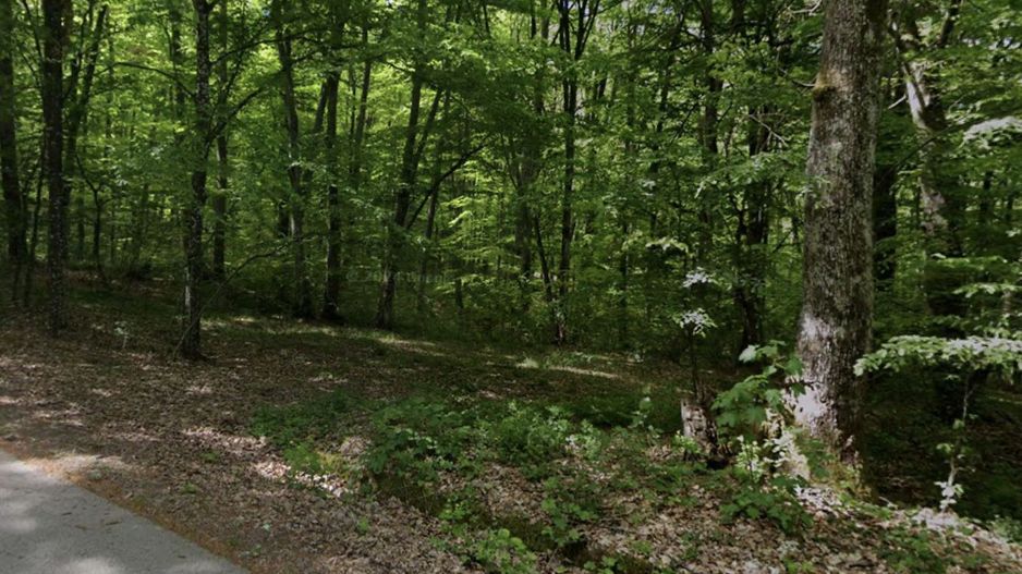 Teren extravilan, livada, Lăzăreni. 22 500 E. Comision 0 - Poză 2