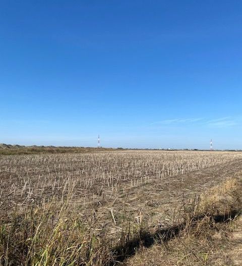 Teren agricol în Zona Sagului - Poză 2