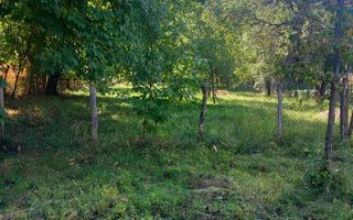Casă 2 camere de vânzare | Francesti | 75 mp | teren 2000 mp - Poză 7