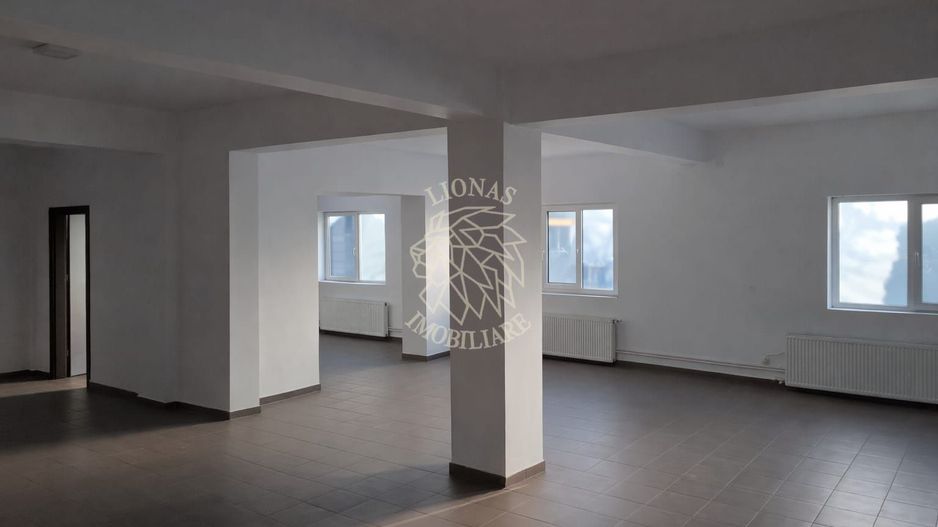 Spatiu comercial 125.76 mp-2 bai- Zona Sanovil, Viisoara - Poză 3