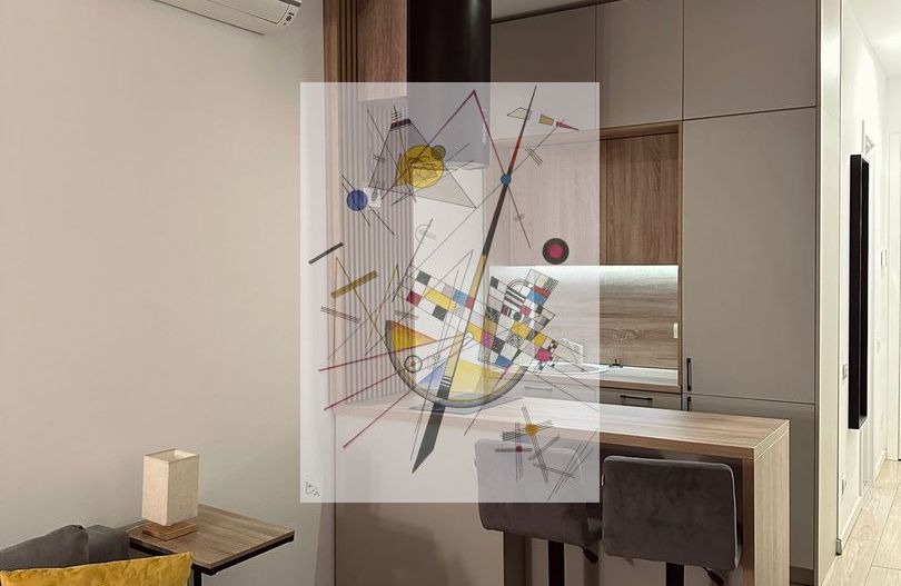 Aurel Vlaicos - Poză 6