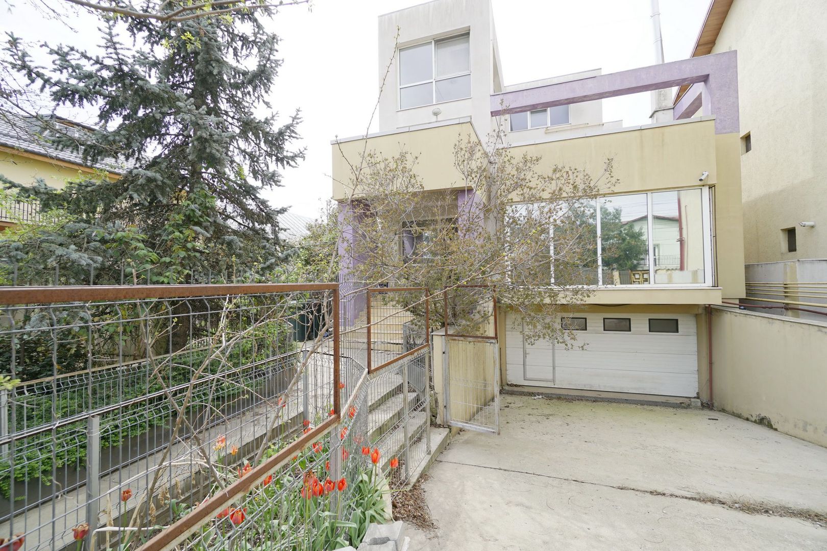 Vila Voluntari, stradal - Poză 2