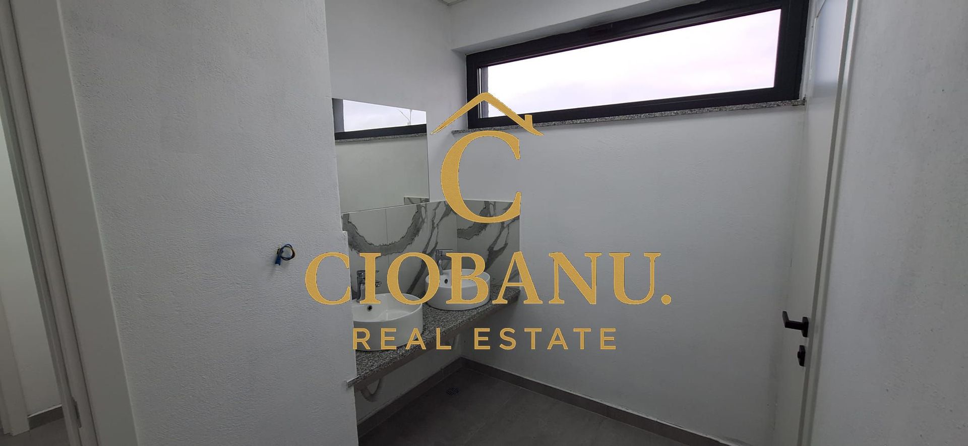 Hale industriale+Cladire de Birouri de inchiriat zona Aeroport - Poză 15