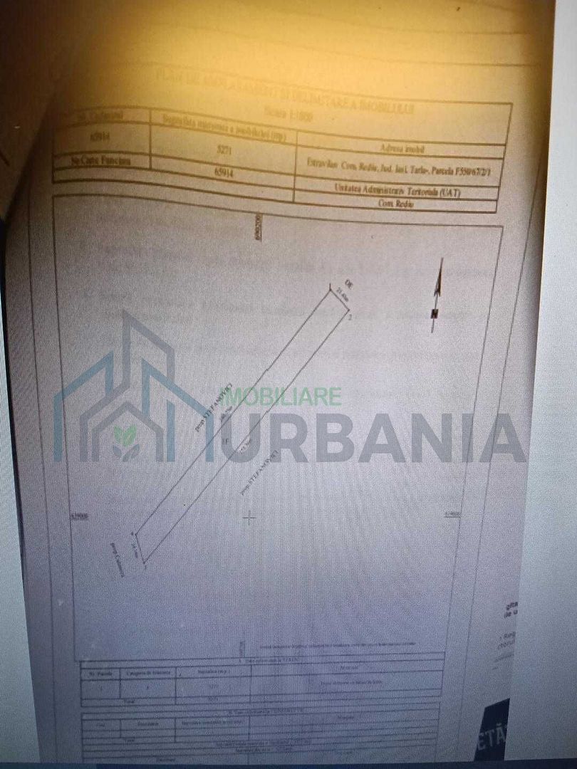 Teren extravlan Rediu 11 euro mp - Poză 1