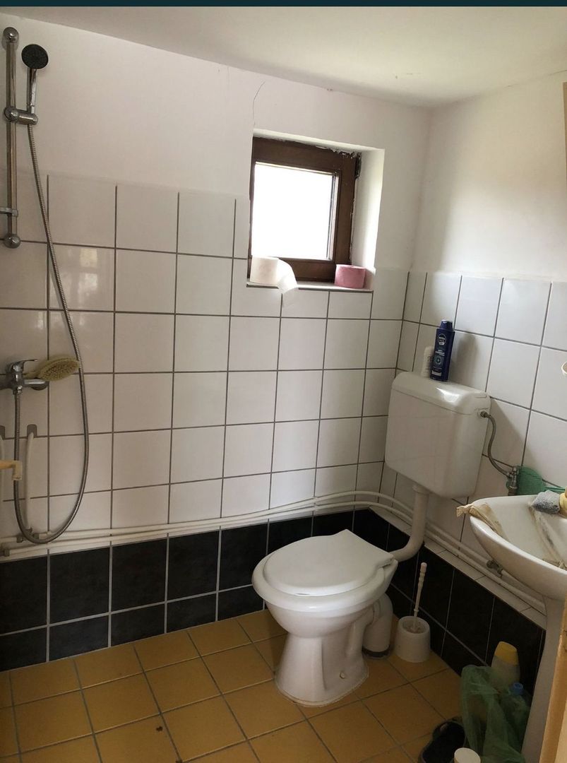 Casa cu teren 27 arii Pir - Poză 3