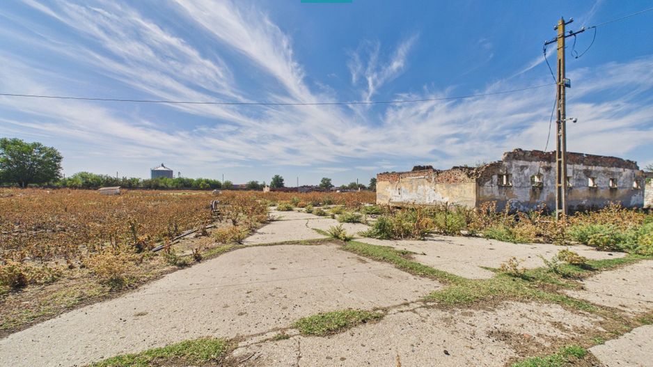 Teren intravilan 146.866 mp de vânzare | Jimbolia - Poză 9