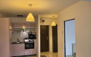 Apartament 2 camere de inchiriat, Podu de Fier, Iasi - Poză 5