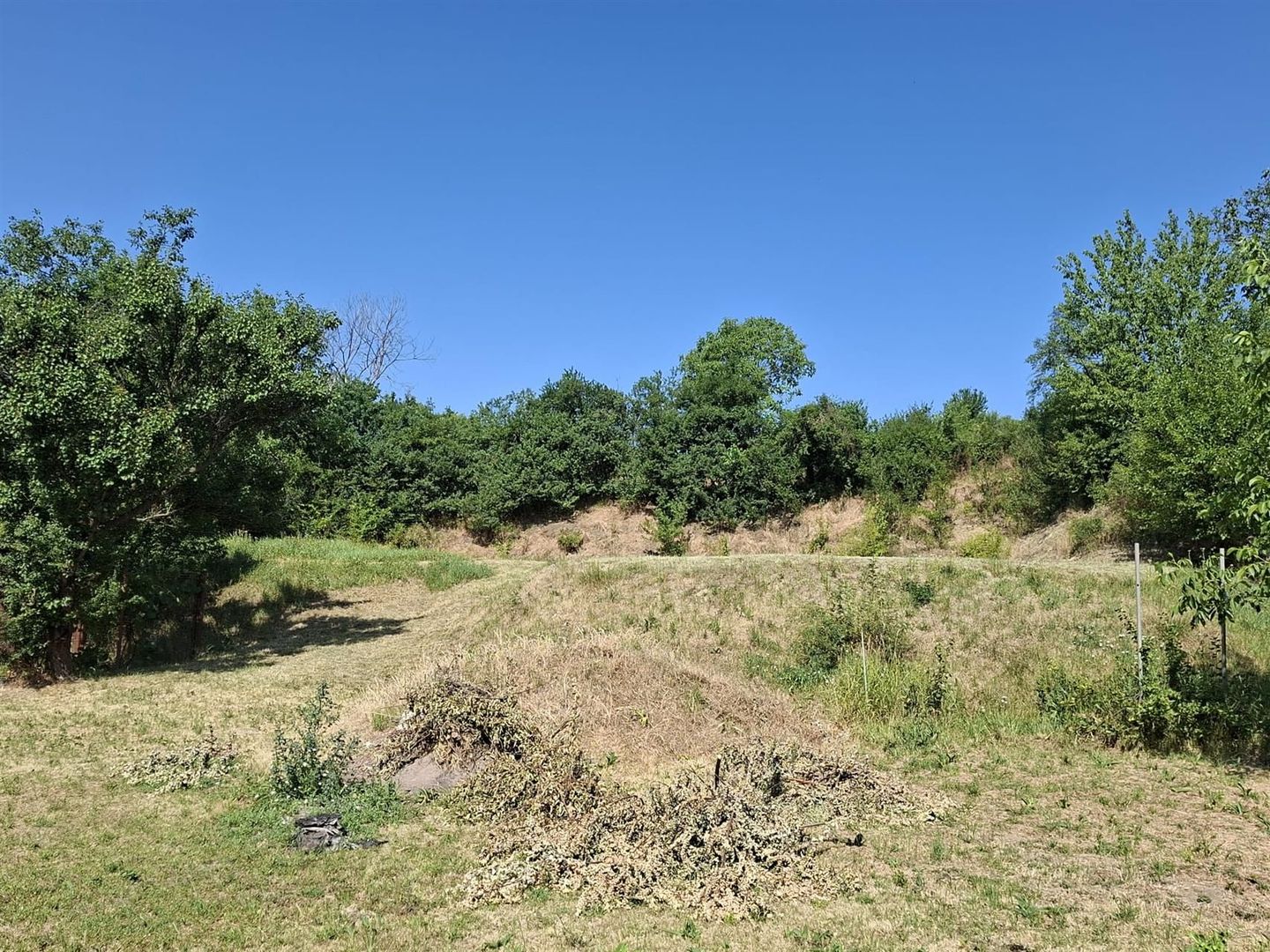 Teren Intravilan 1200 mp Podgoria - Poză 1