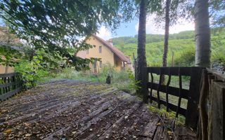 Casa de vacanta - Cartisoara, Sibiu - Poză 3