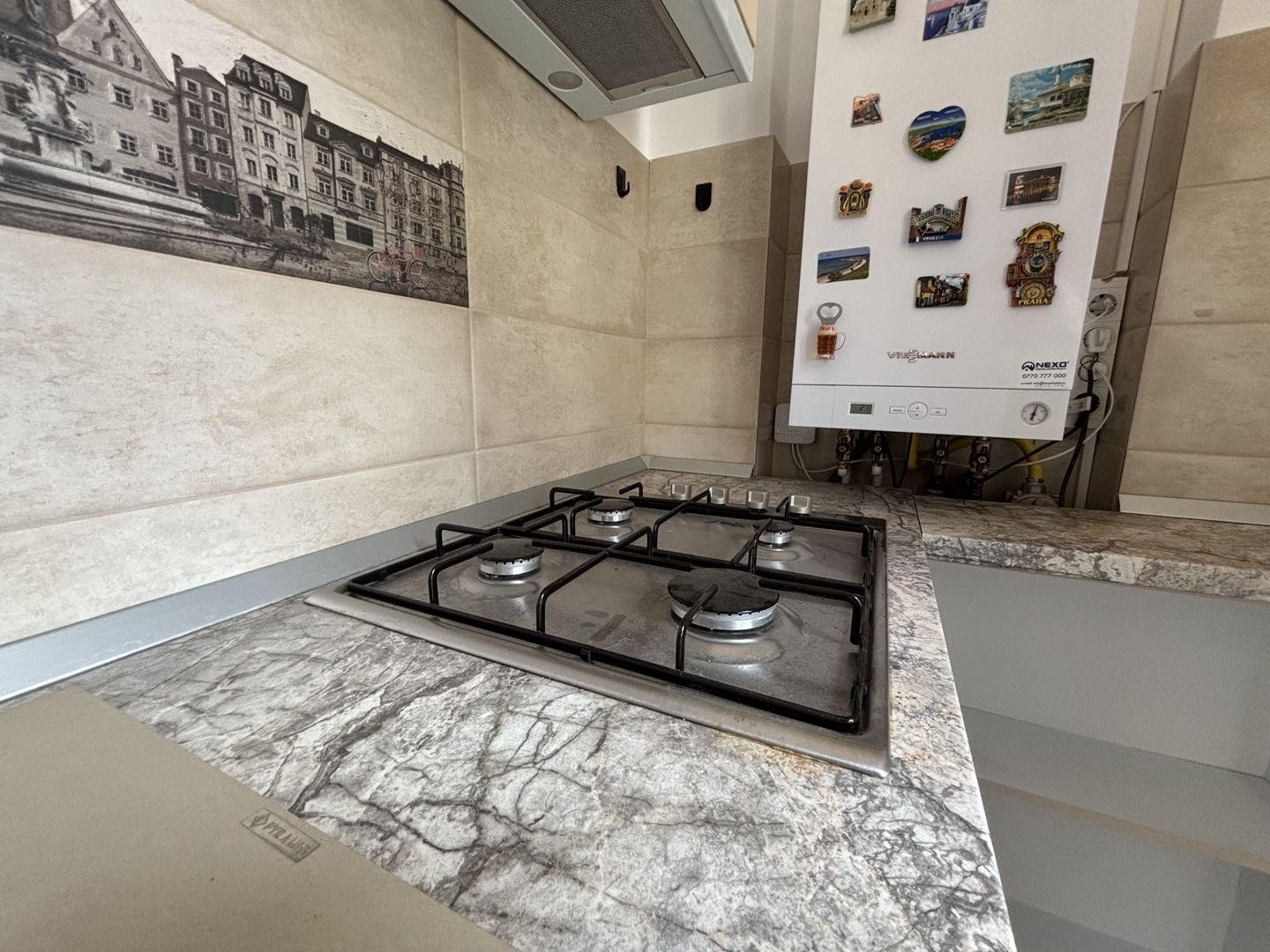 VILA | 2 CAMERE | CURTE - Poză 17