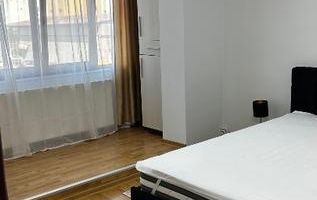 Închiriez Ap..2 camere Podu Roș, Aleea Rozelor et.1 - Poză 4