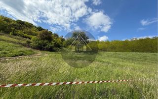 Teren de casa cu PUZ, Mosnei - Poză 6