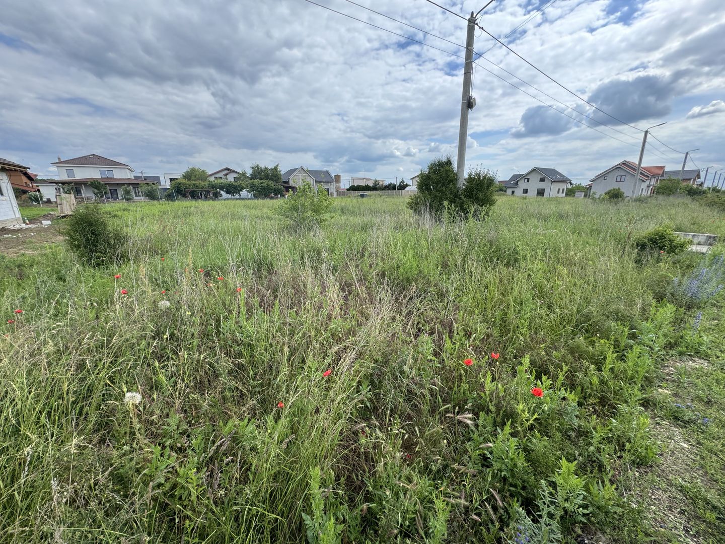 Teren Intravilan Dudestii Noi 638mp,Fs 24m,Utilitatile In Fata Parcelei,Asflat - Poză 4