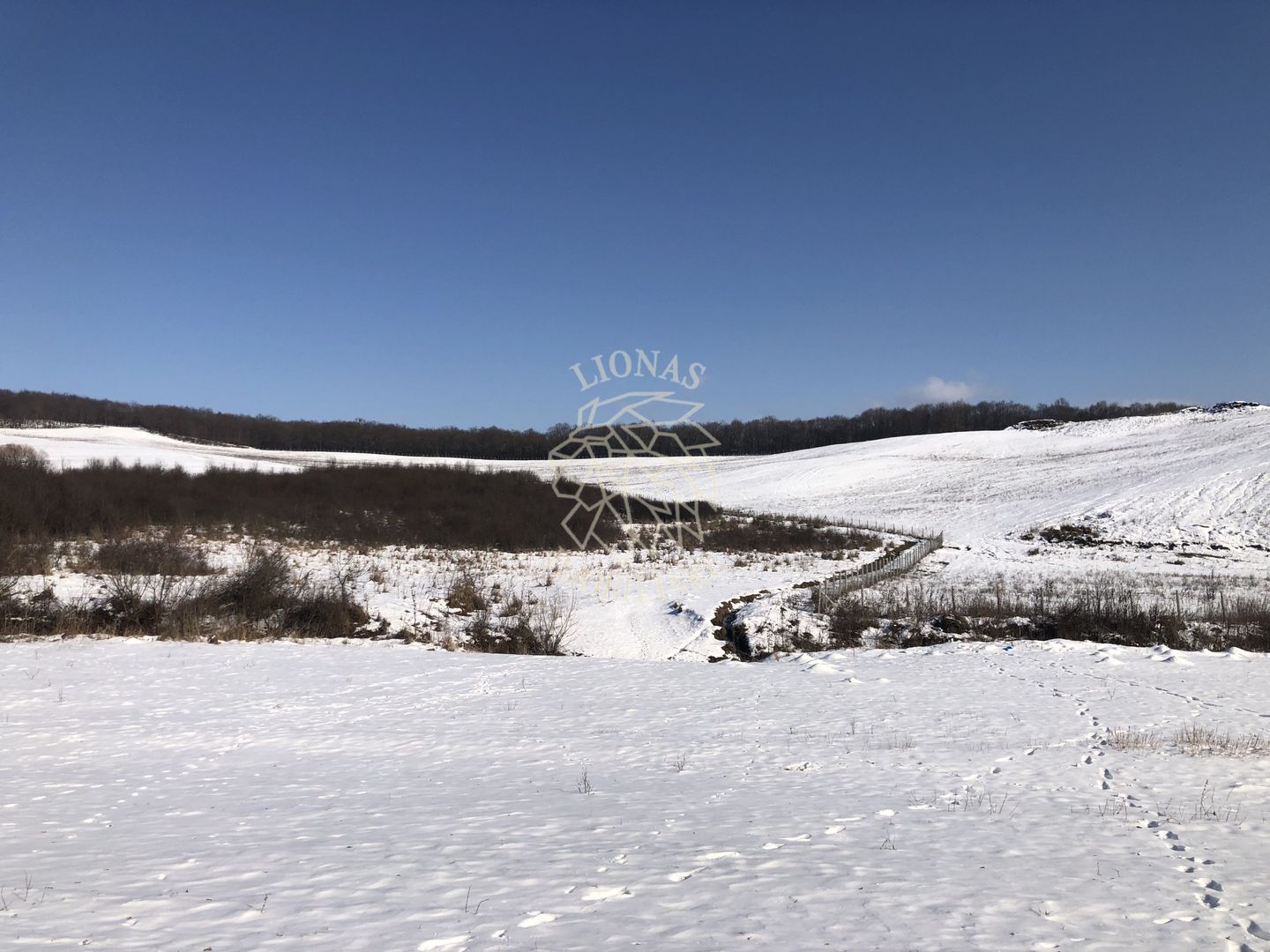 Teren 10000 si o parcela de 50 ari-oportunitate investitie-Jelna - Poză 1