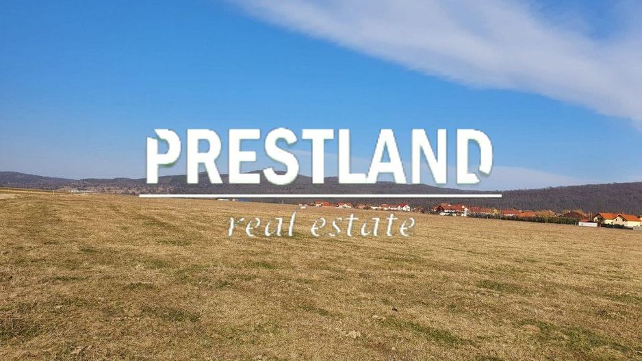 Teren extravilan-5.000 mp-Sura Mică. - Poză 3