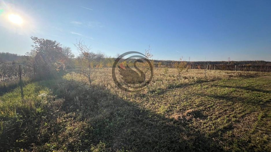 Teren intravilan de vanzare | 12.650 mp | Ghirdoveni | Comision 0% - Poză 7