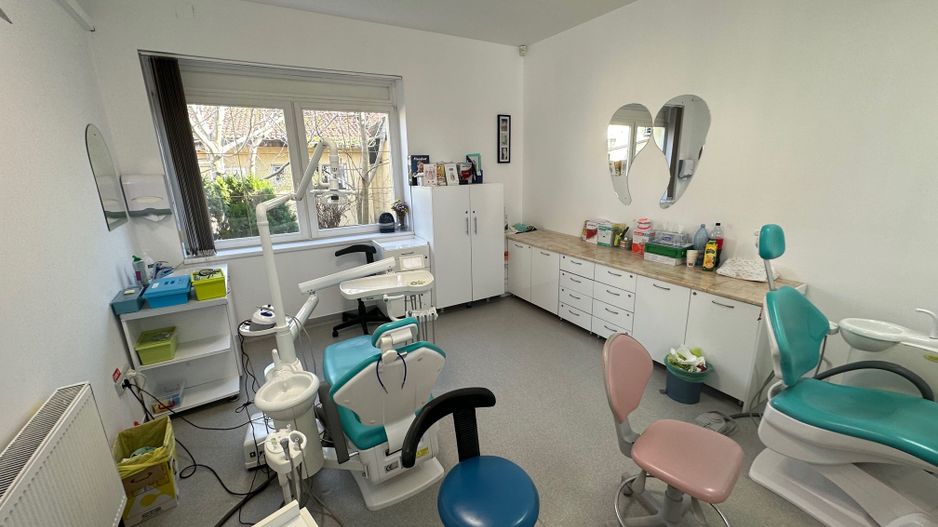 Spatiu de birou cu curte și anexa zona Badea Cartan - Poză 2