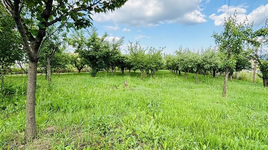 VILA CU 14 CAMERE SI 3405 MP TEREN IN SANMARTIN - Poză 9