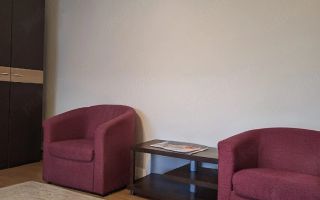 Apartament 1 camera zona Steaua cu centrala - Poză 2