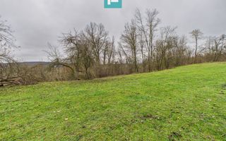 Casă cu teren de 24.679,73 mp, în Hălmagiu, Arad - Poză 18