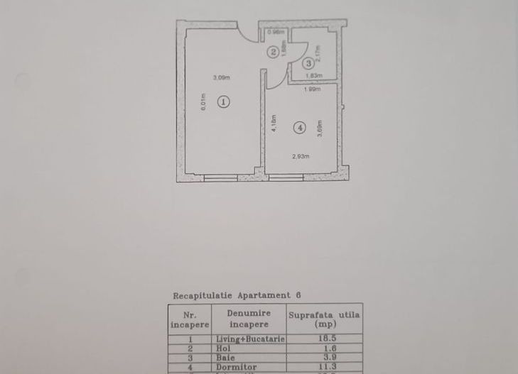 De vanzare Apartament cu o camera, Aparatorii Patriei, sect. 4 - Poză 10