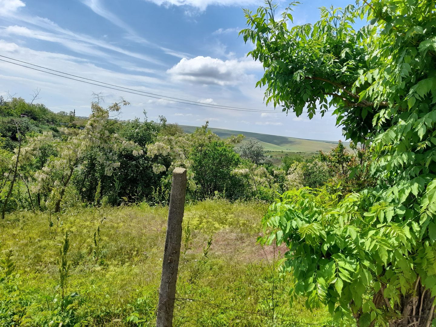 Casă cu teren de 1.470 mp de vânzare – Fântânele, Scânteiești - Poză 40