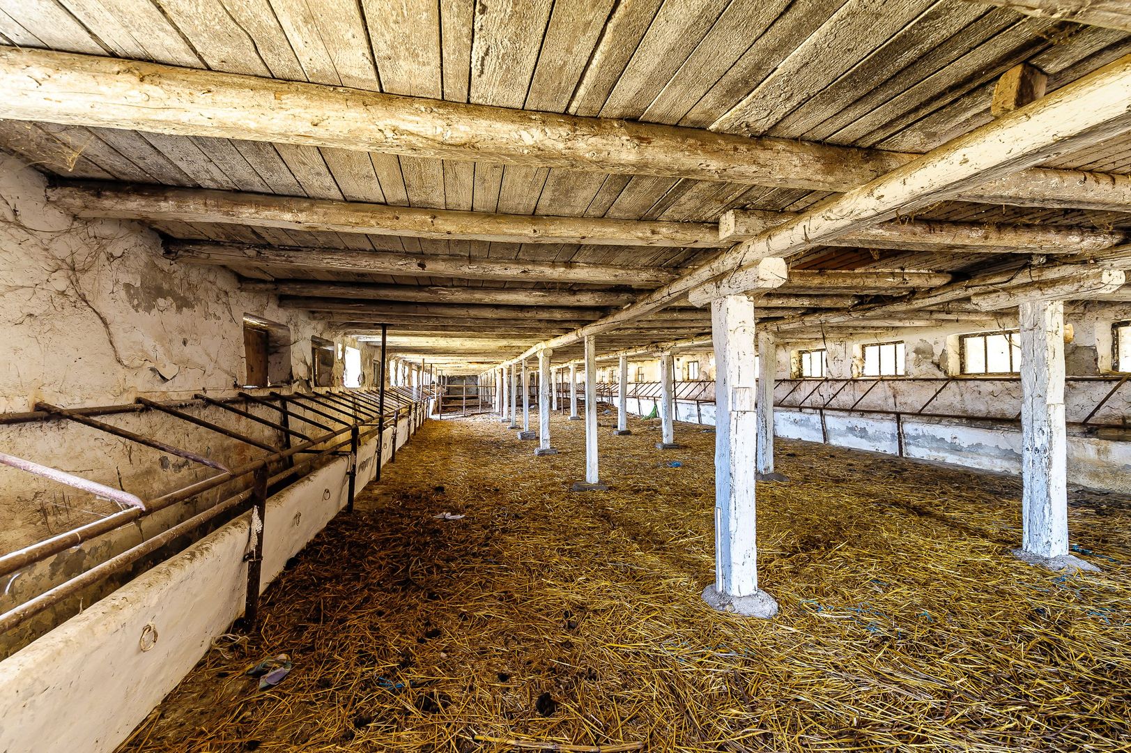 Fermă Mândruloc 2,5 ha - Poză 6